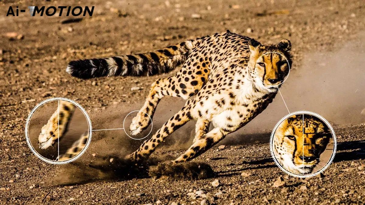 AI-Motion