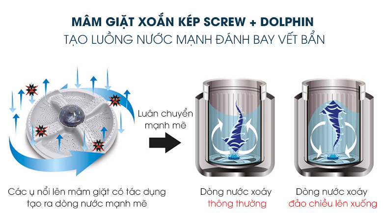 Scrrw+Dolphin