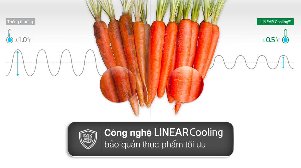 Công Ty TNHH TMDV Nội Thất HomeGold