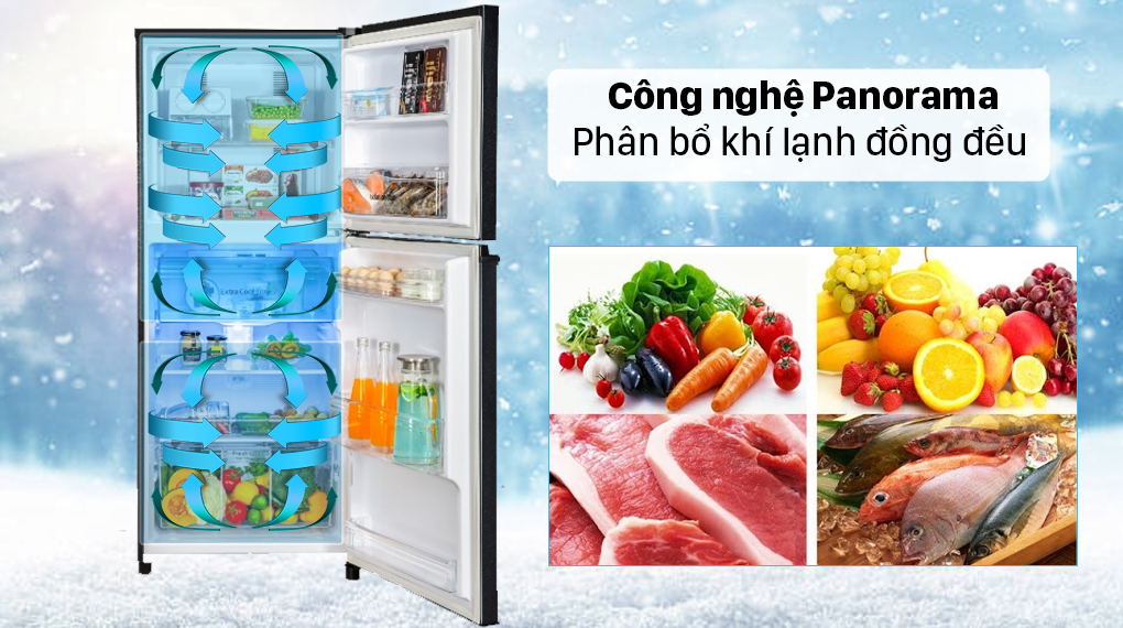 Tủ lạnh Panasonic Inverter 326 lít NR-TL351GPKV - Công nghệ làm lạnh vòm Panorama