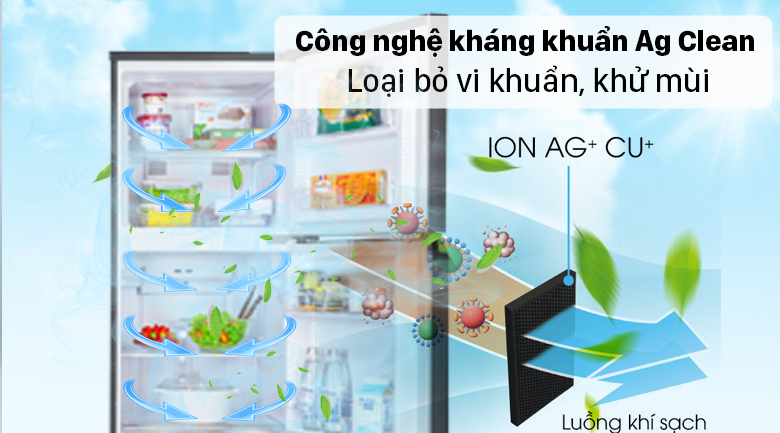 Tủ lạnh Panasonic Inverter 268 lít NR-TV301VGMV - Loại bỏ vi khuẩn, khử mùi hiệu quả