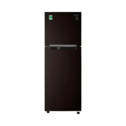 Tủ lạnh Samsung Inverter 236 lít RT22M4032BY/SV